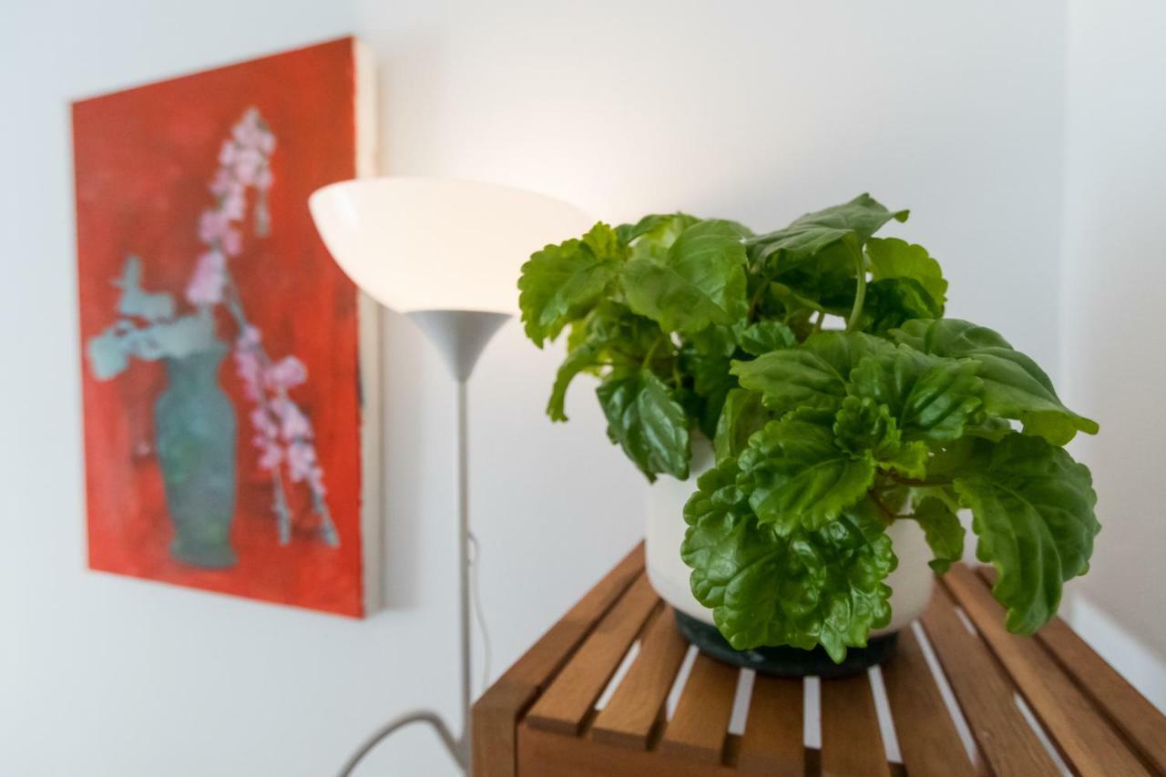 Apartamento La Galeria De San Antonio Cadiz Bagian luar foto